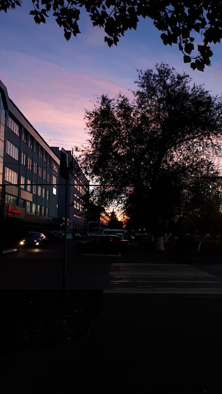 sunset