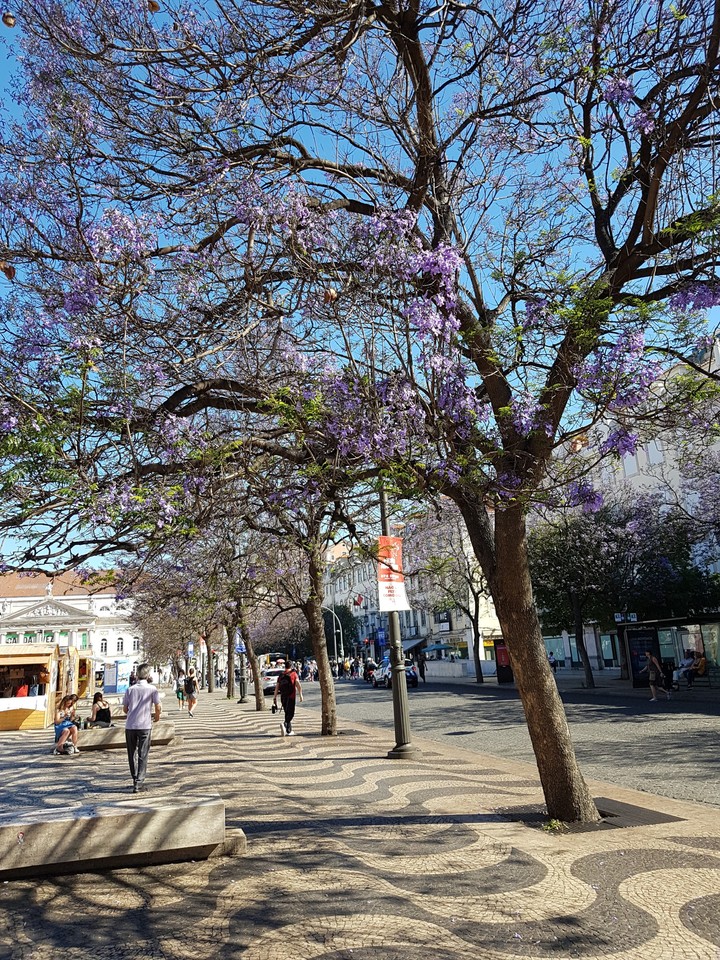 Primavera a Lisbona
