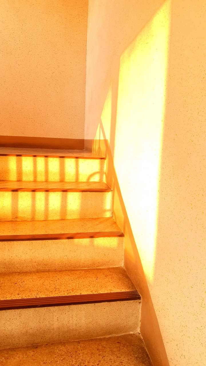 The sunset seeping through the stairs