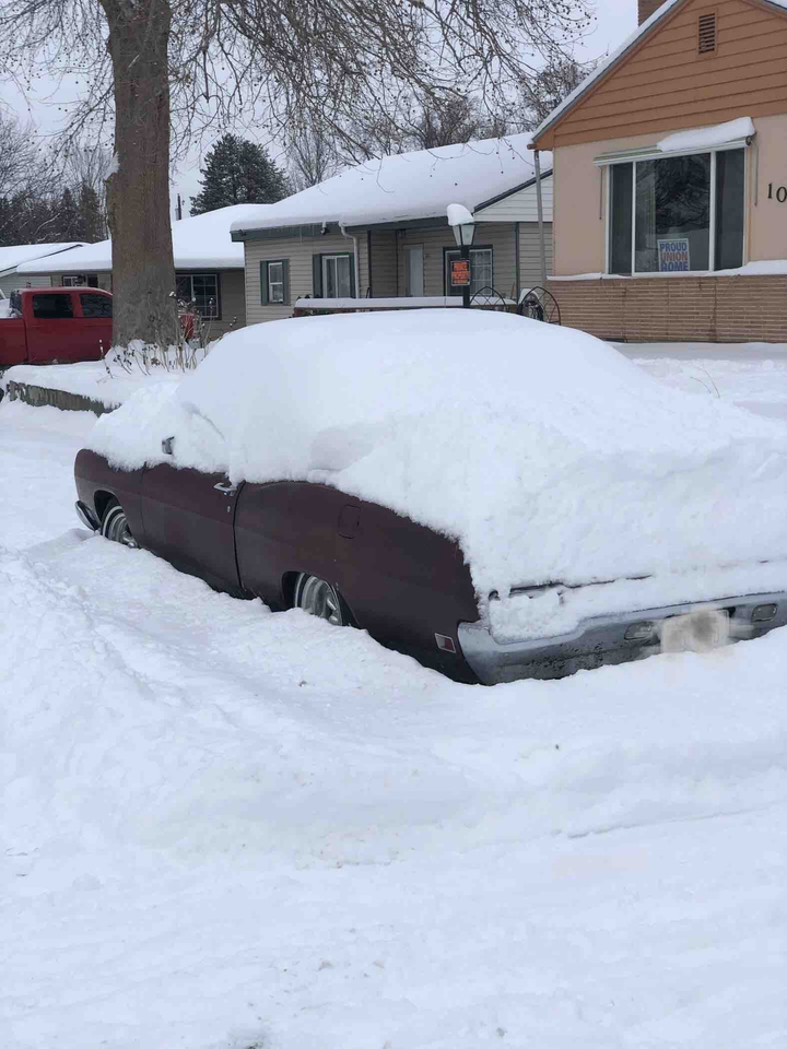 Snowy Day