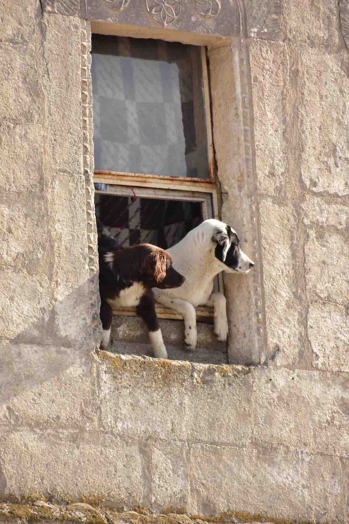 bystanders
