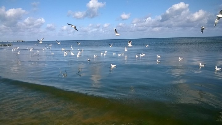 Ostseesommer