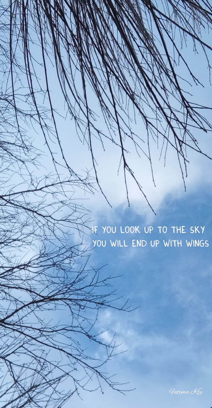 •°•°•°