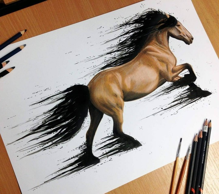 Paint
