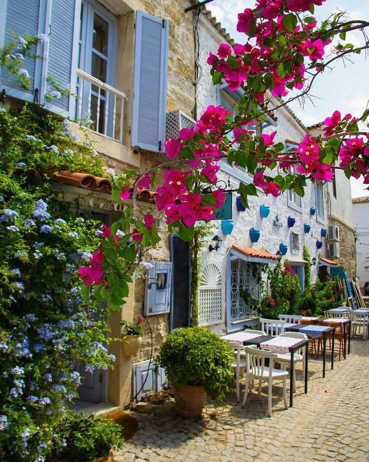 flower Houses