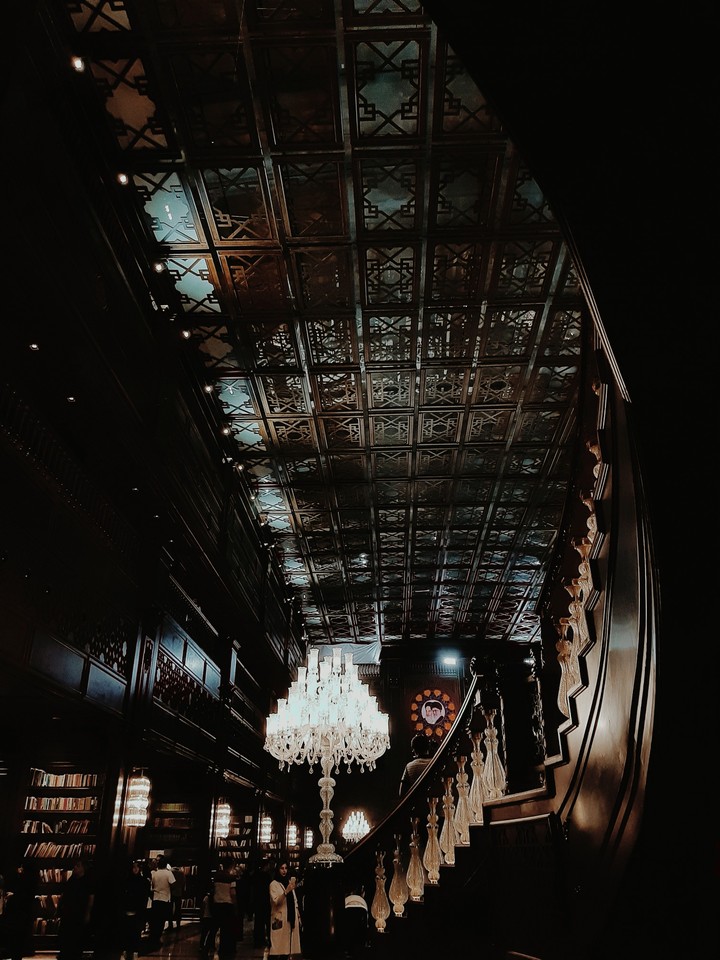 Most Beautiful and Serene Library.