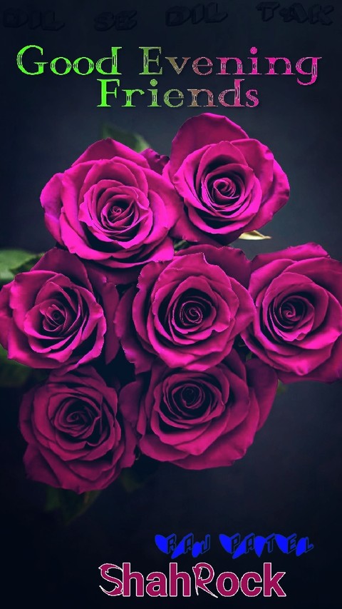 Good Evening