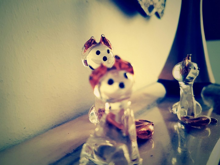 Toy