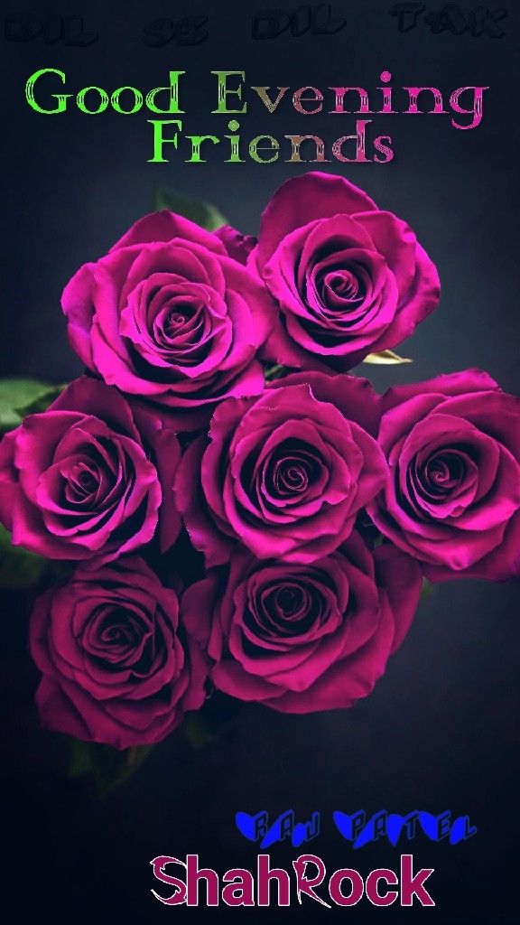 Good Evening