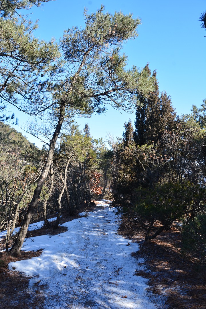 수락산이미지