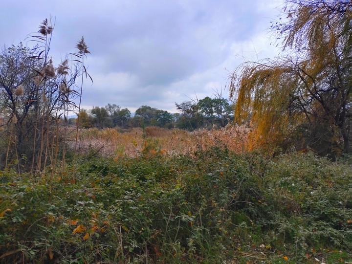 fall