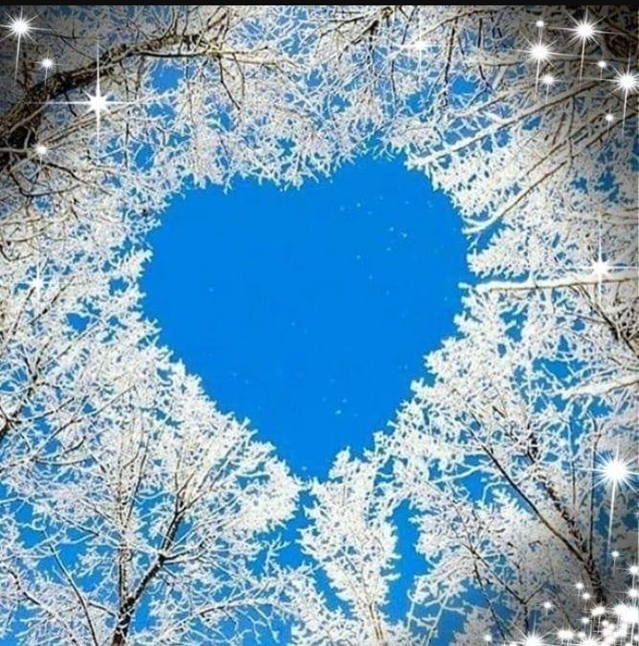 aaa