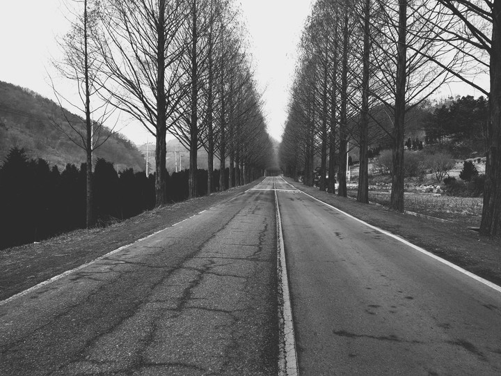 Black Road