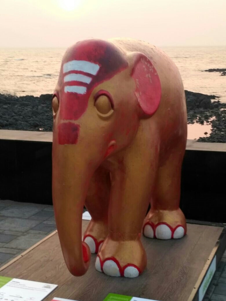 elephant