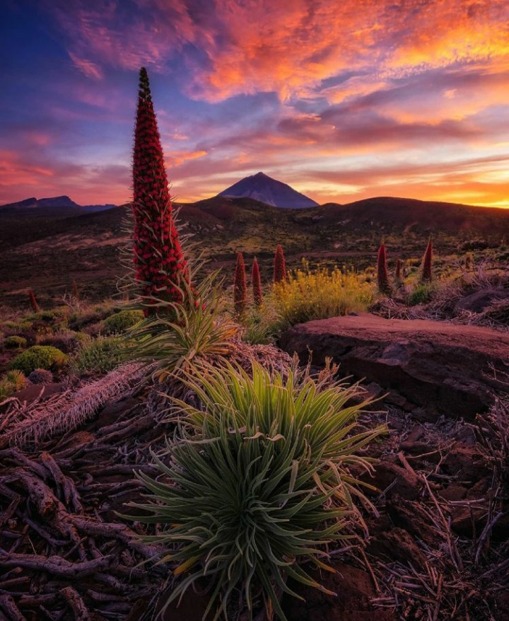 El Teide