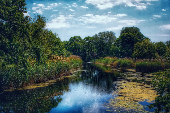 Vajas lake