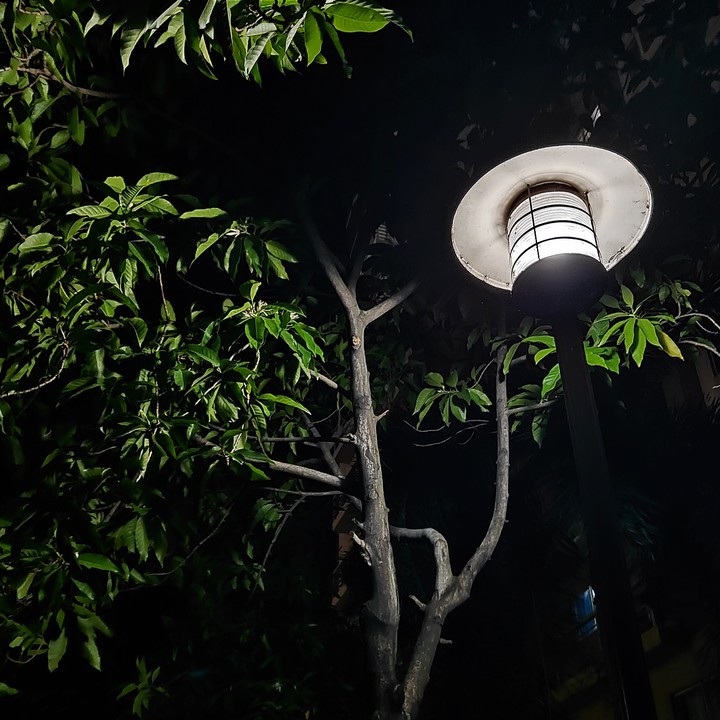 Night Lights!!