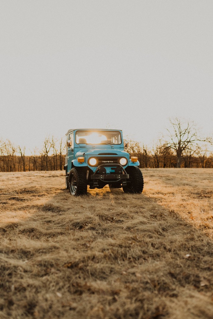 Thar Lover