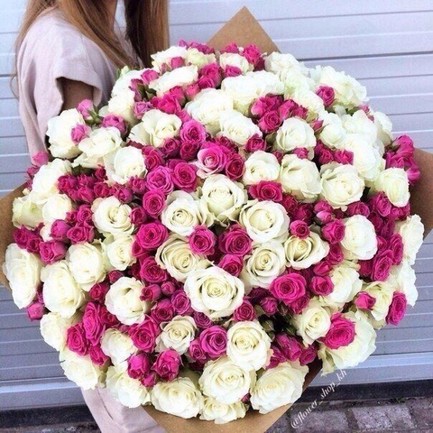 plant, flower壁纸