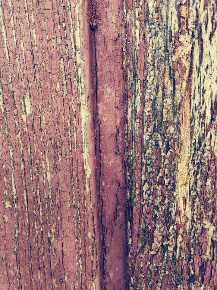 old wood
