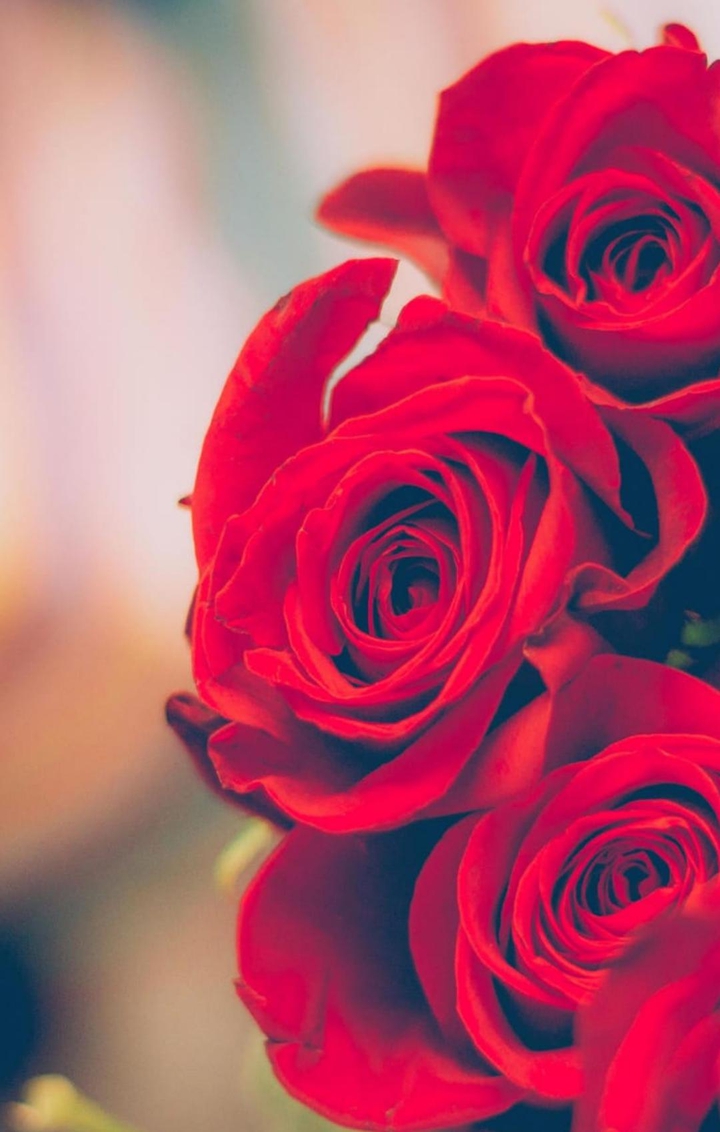 Fleur