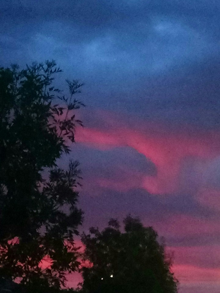 bloody sky