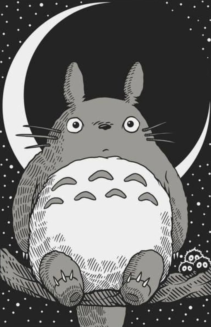 ❤️totoro❤️