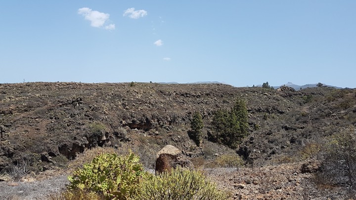 Tenerife Desert