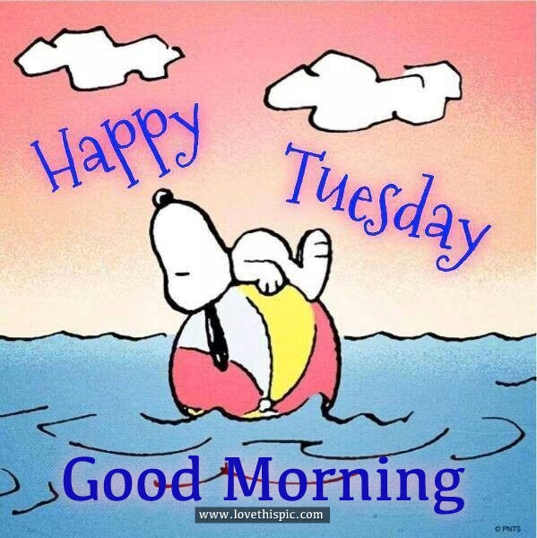 FOR EVERYONE
