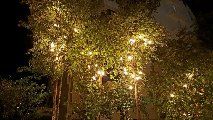Mystic City Lights