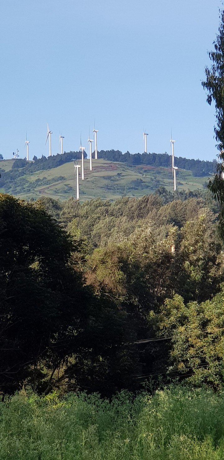 Hills and windmills in Ngong, Kenya