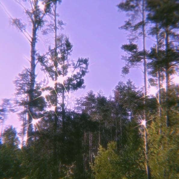 ( ꈍᴗꈍ)
