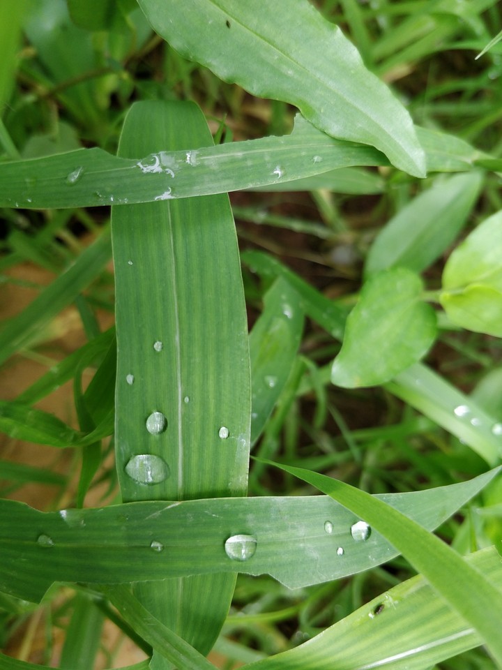Droplets