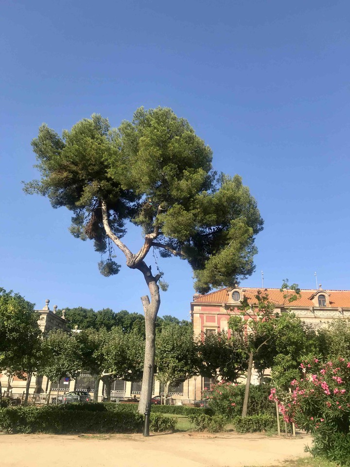 Barcelona