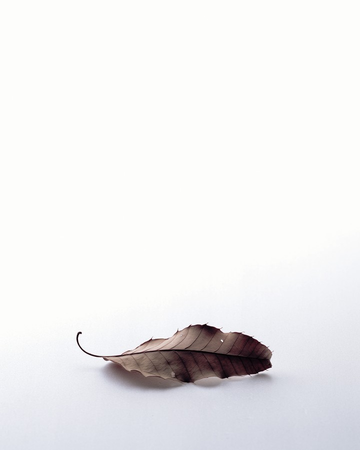 자연이미지