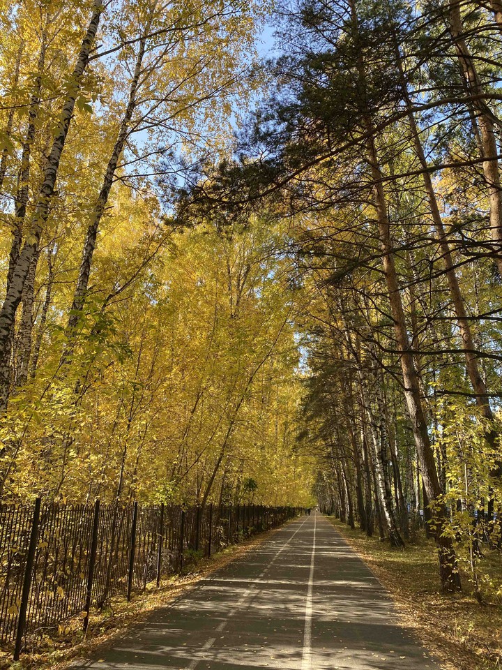 Осенняя аллея