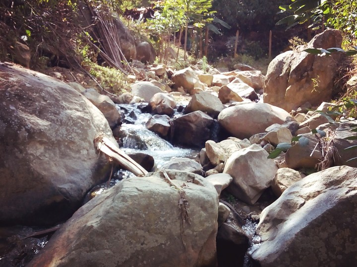 el arroyo.