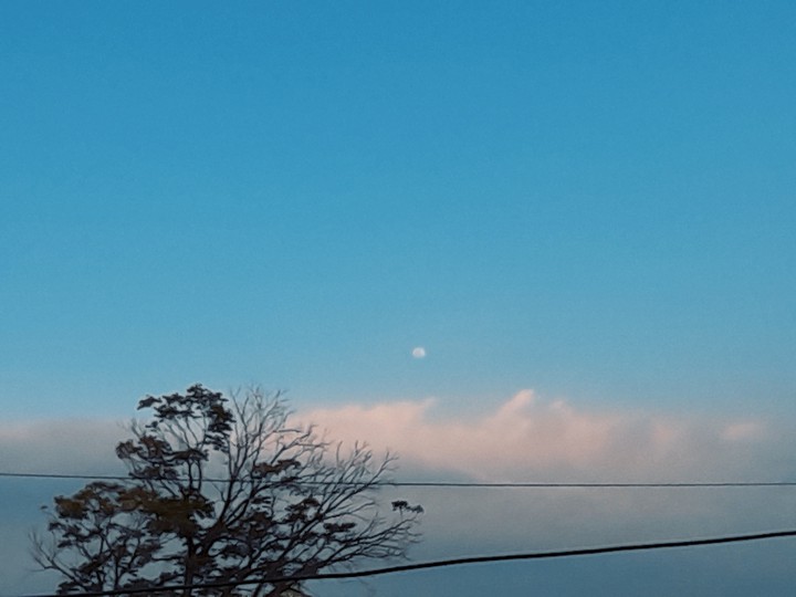 하늘