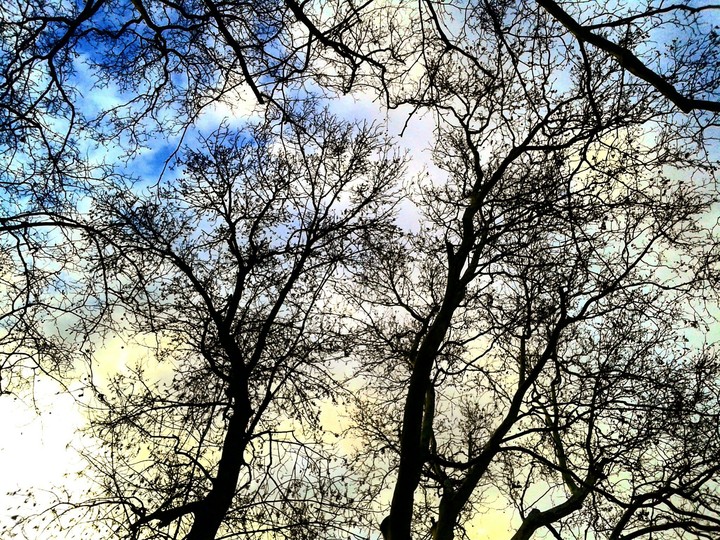 In Park