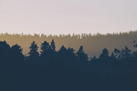 minimalist