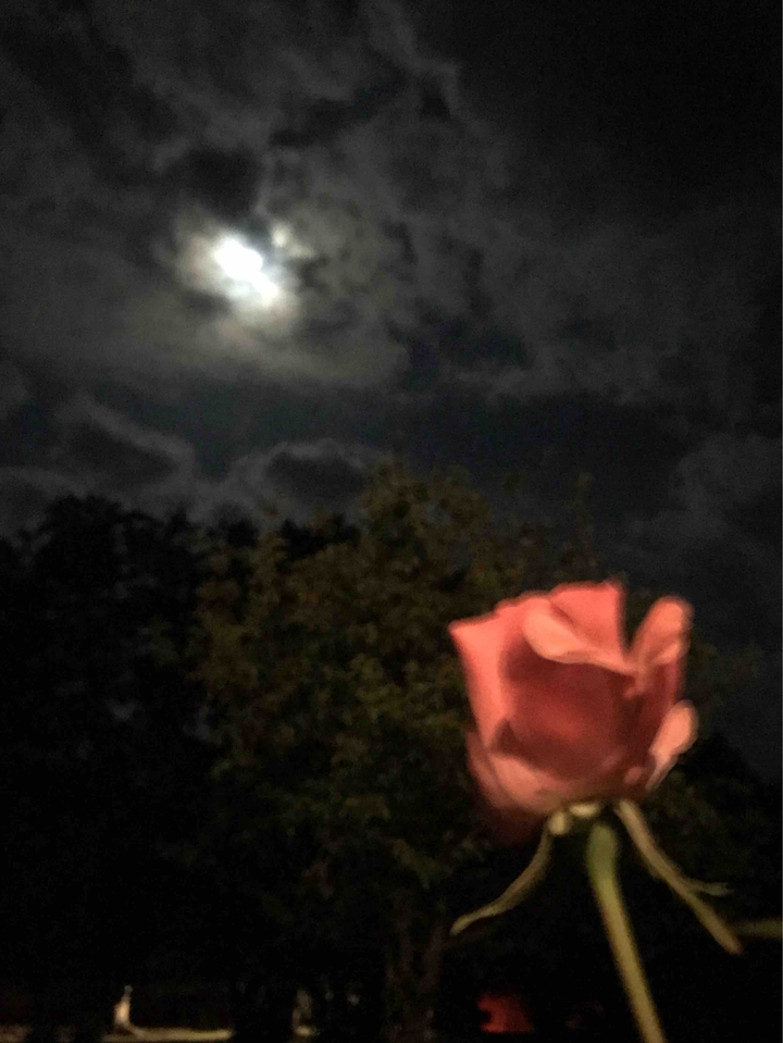 night