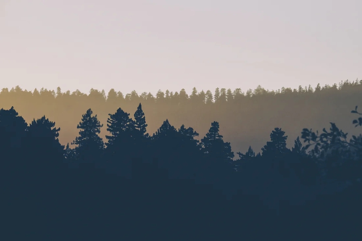 minimalist