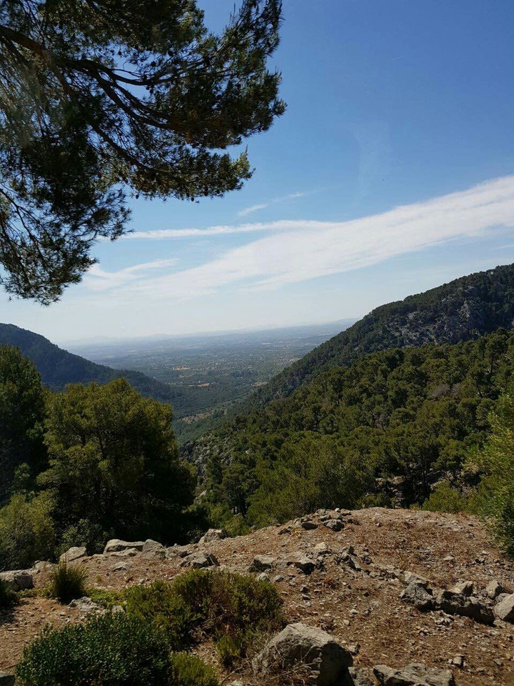 landscape