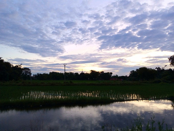 Beautiful Sunset!