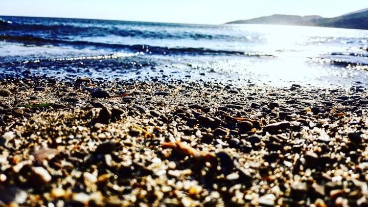 Sea
