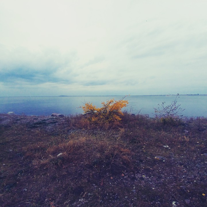 deep dark Autumn