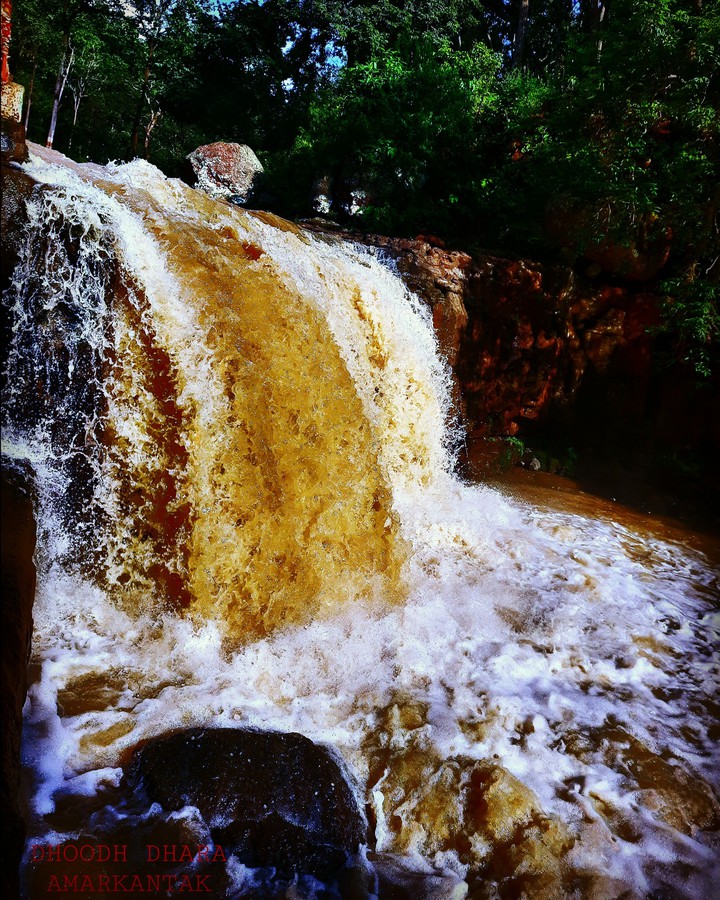 dhoodh dhara amarkantak  india