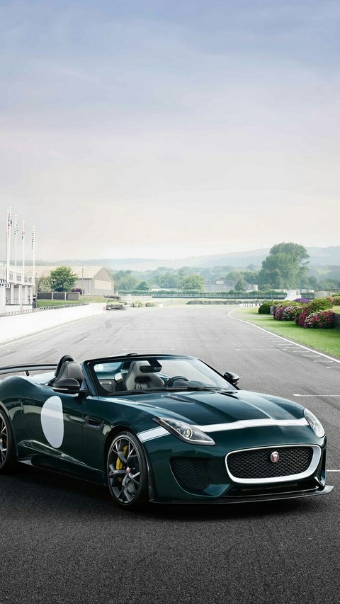 Jaguar
