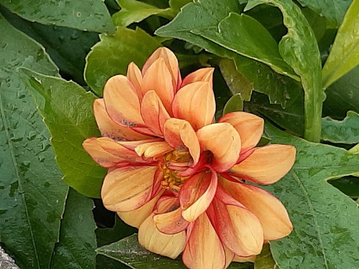 merveille du monde