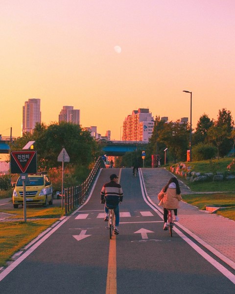sfondi bicycle, road